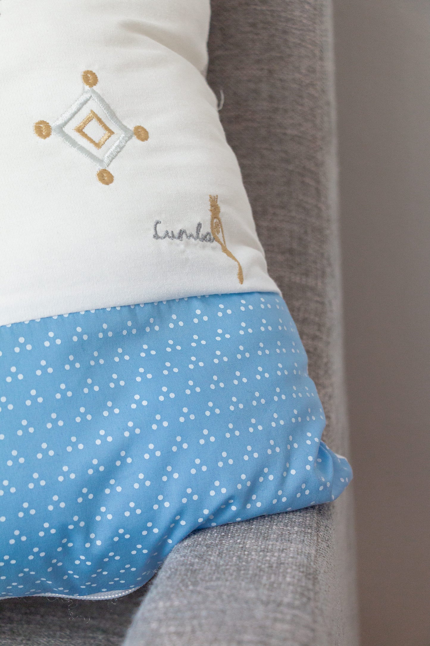 Cojínes decorativos (2 pzas) - Peces