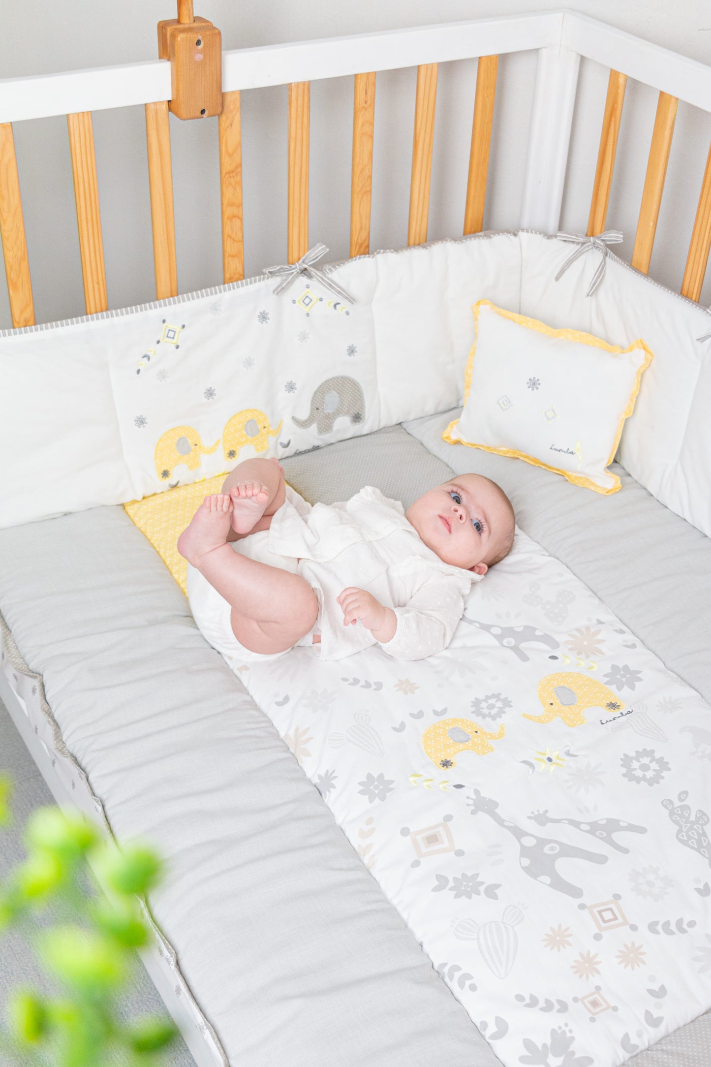 Coordinado Otomí Amarillo